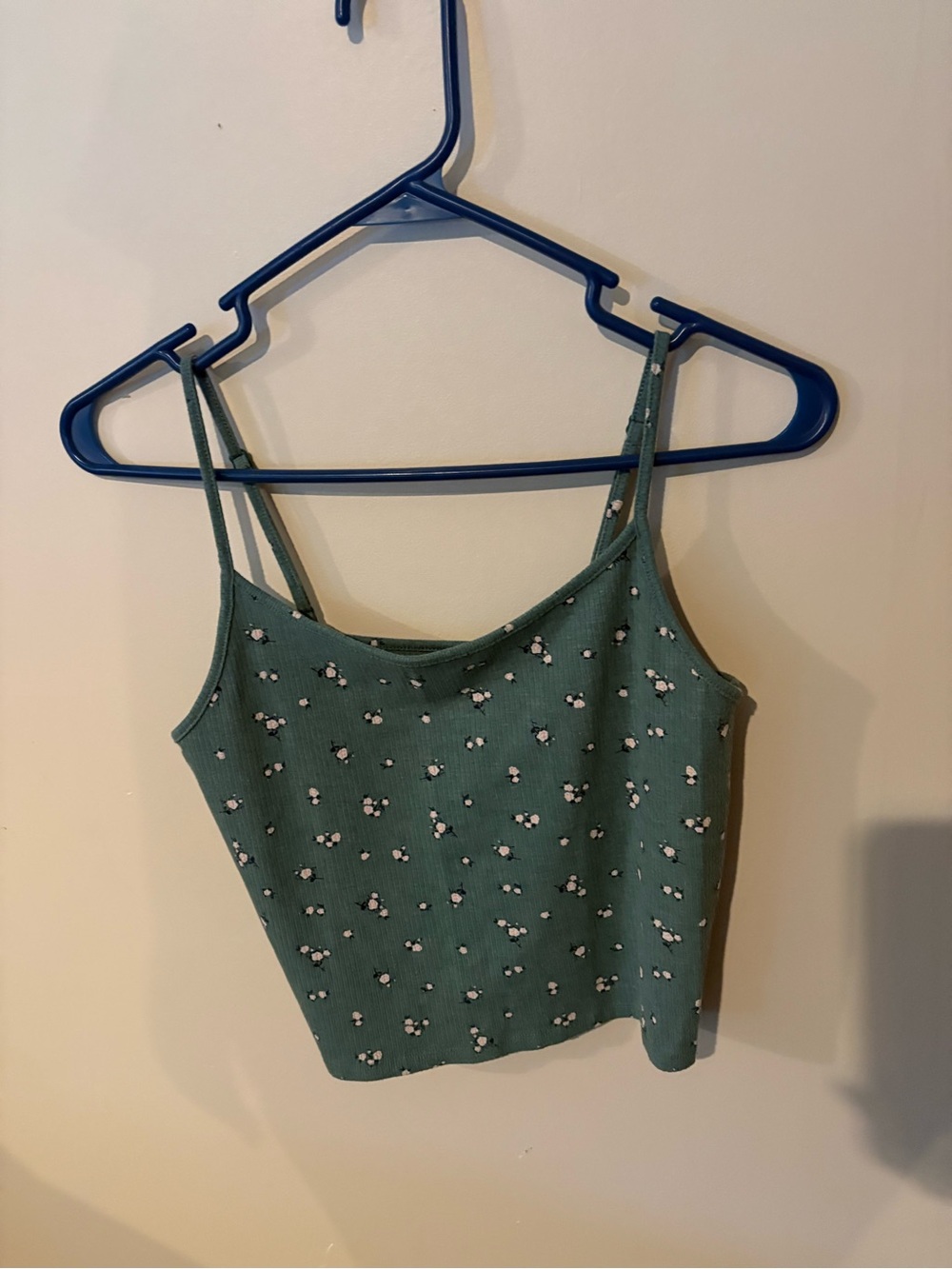 American eagle green crop top
